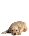 b821b54f729227fffff87a0ac144226